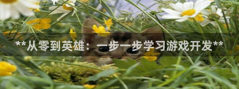 沐鸣娱乐2手机版