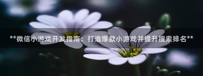 沐鸣2主管
