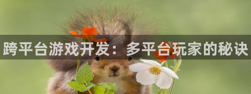 沐鸣2注册开户