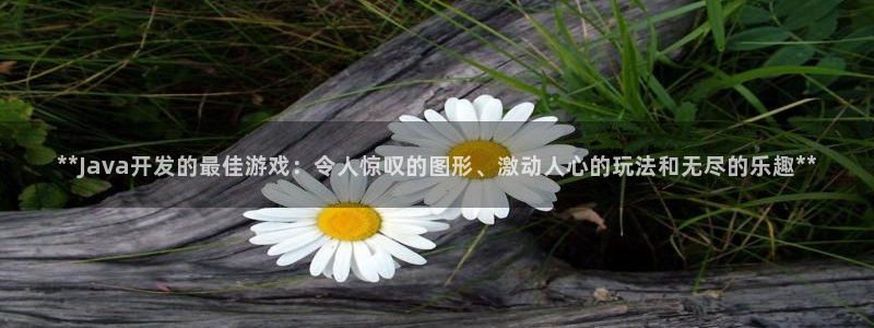 沐鸣2平台开户