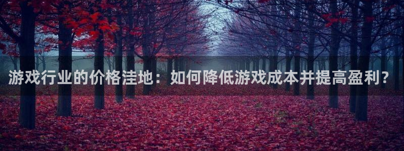 沐鸣娱乐2登陆不上怎么办：游戏行业的价格洼地：如何降低游戏成本并提高盈利？