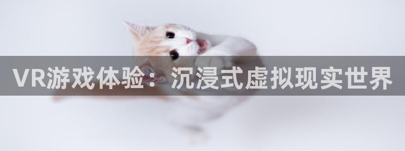 沐鸣2注册登录：VR游戏体验：沉浸式虚拟现实世界