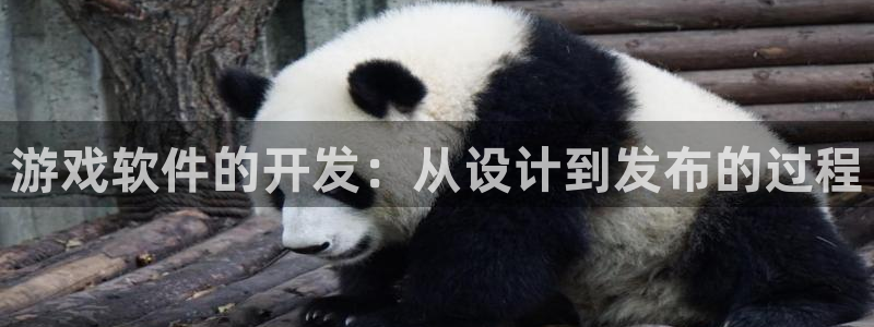沐鸣2官方登录：游戏软件的开发：从设计到发布的过程