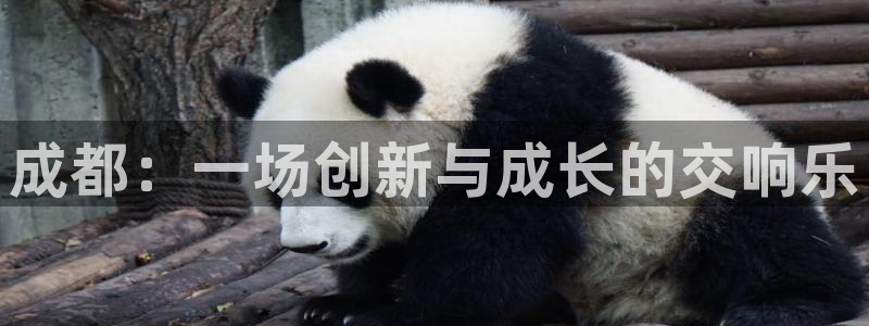 沐鸣2平台官网登录：成都：一场创新与成长的交响乐