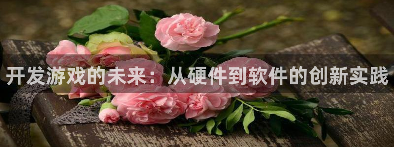 沐鸣2主管：开发游戏的未来：从硬件到软件的创新实践