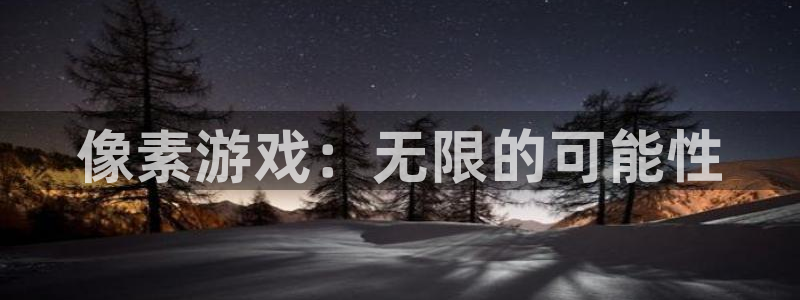 沐鸣2娱乐平台登录：像素游戏：无限的可能性