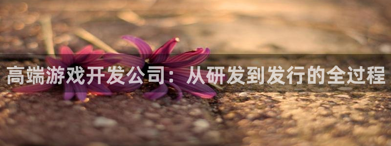 沐鸣娱乐2官方网站注册链接：高端游戏开发公司：从研发到发行的全过程