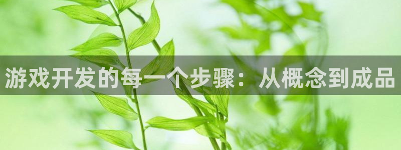 沐鸣2官方：游戏开发的每一个步骤：从概念到成品