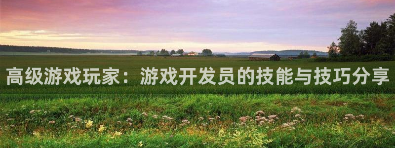 沐鸣2在线登录注册：高级游戏玩家：游戏开发员的技能与技巧分享