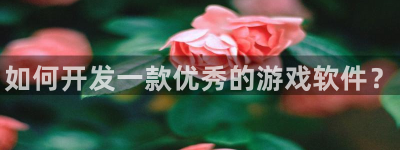 沐鸣娱乐2返点：如何开发一款优秀的游戏软件？